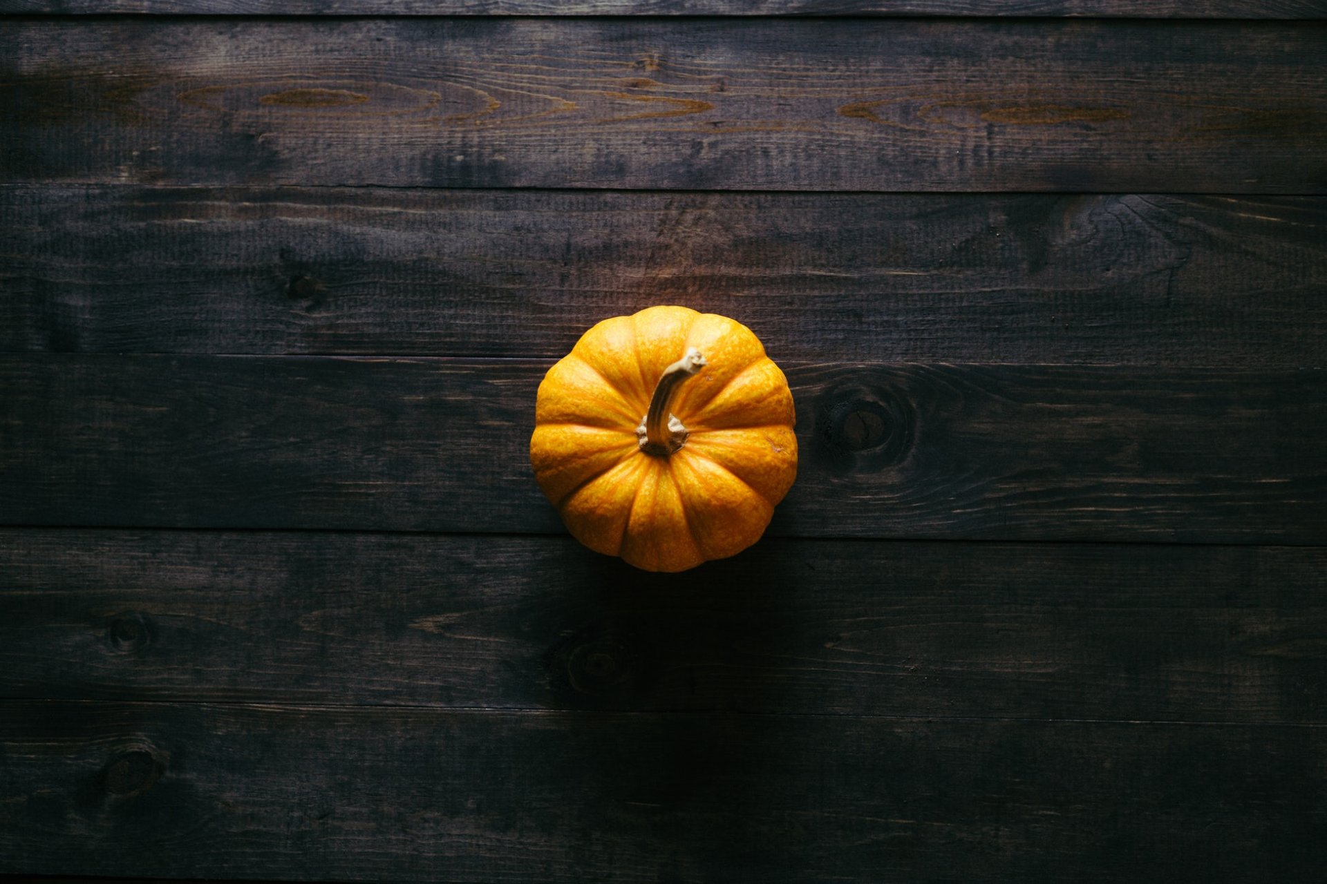 Little Pumpkin - Imagen 4